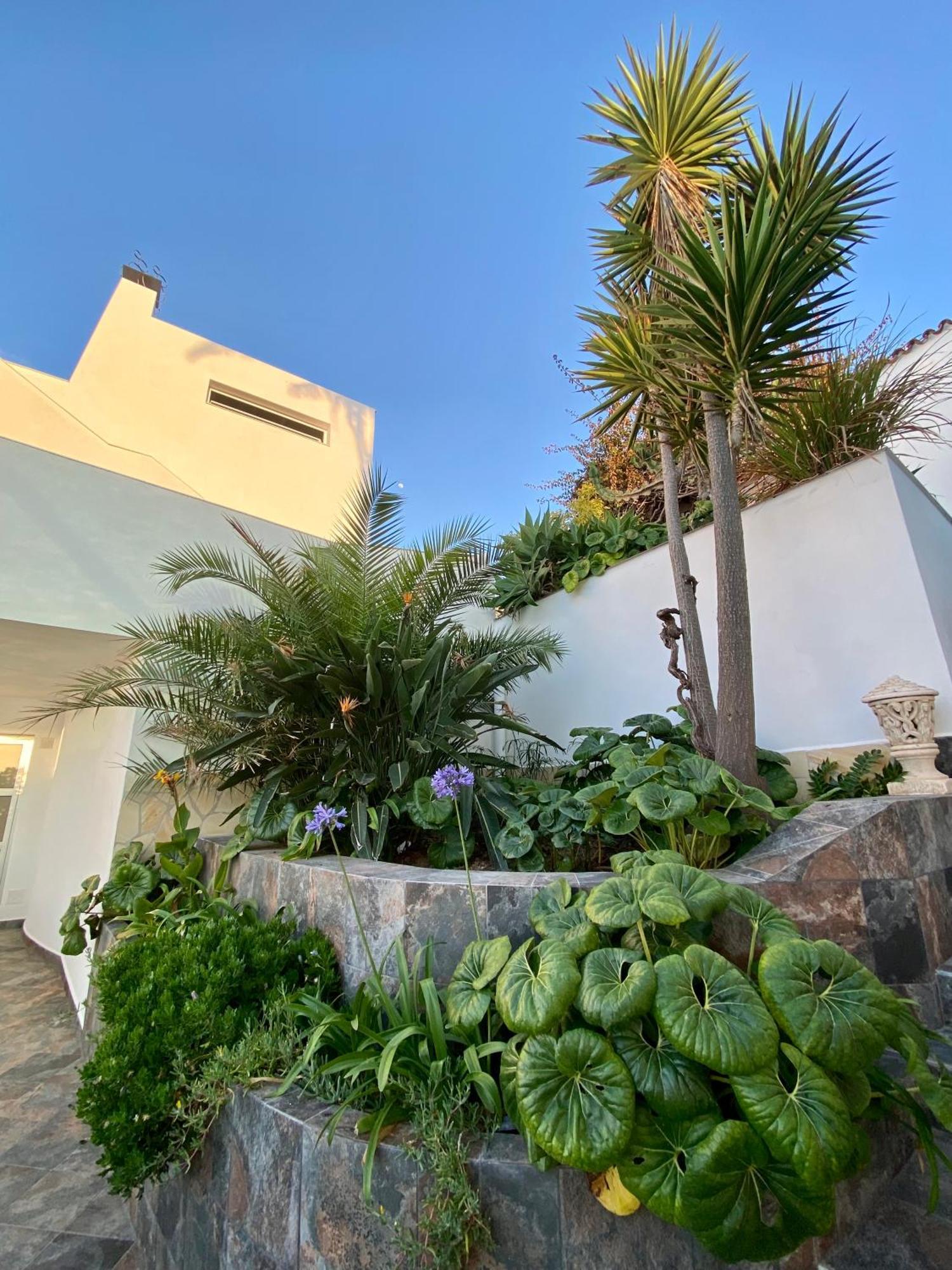 Villa Oasis La Paz - Pelinor Studio - Adults Only Puerto de la Cruz  Exterior foto